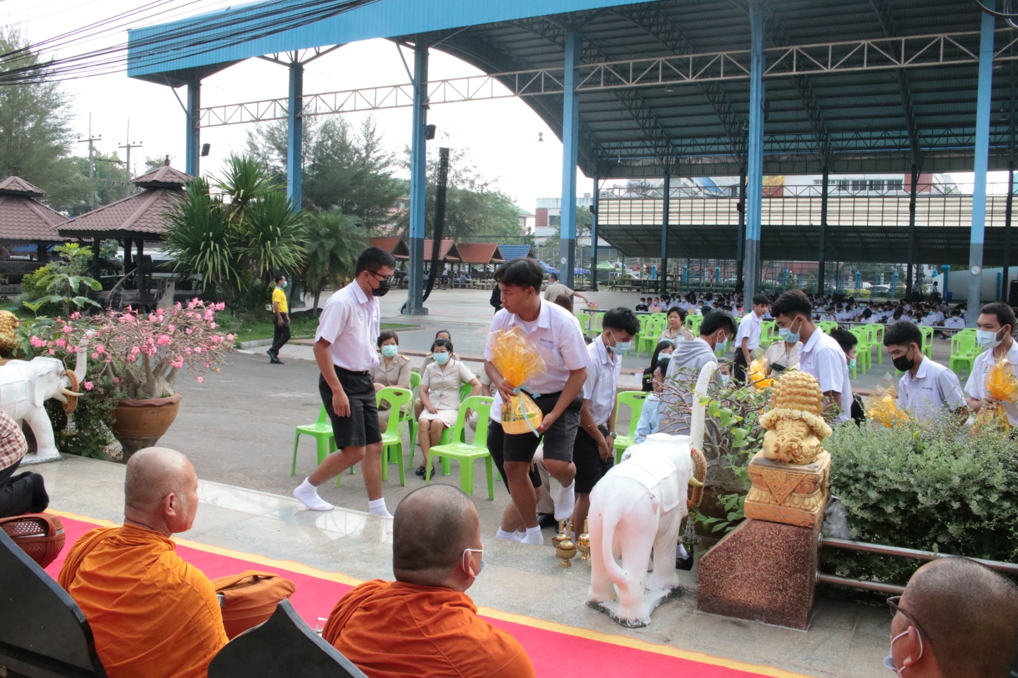 �Ѩ��� �_0.6_������_20