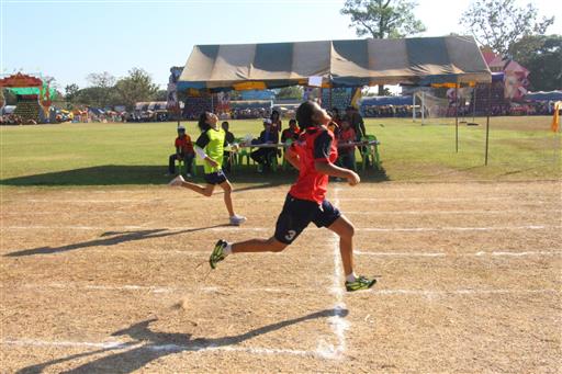 �������� 62.3_������_0231