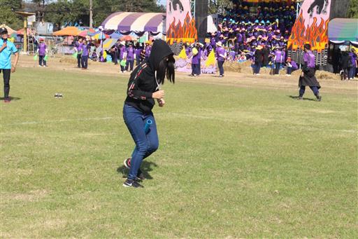 �������� 62.3_������_0570