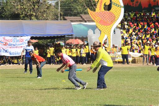 �������� 62.3_������_0587