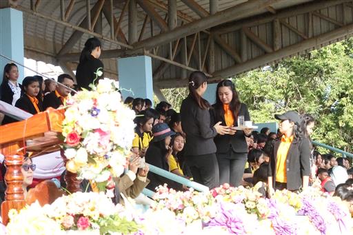 �������� 62_0.2_������_0871