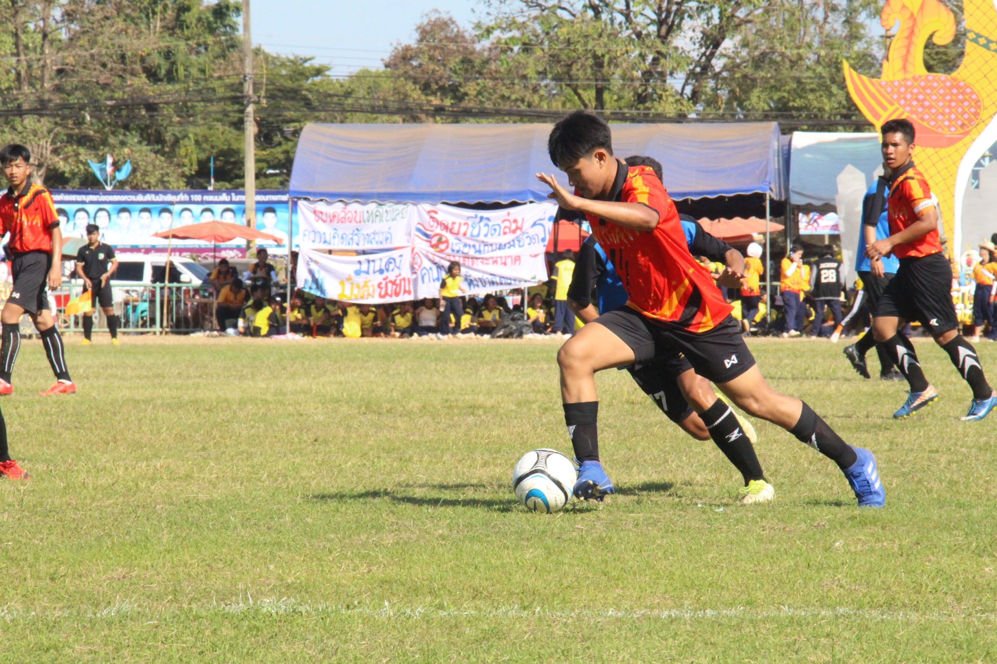 �������� 62.3_������_0604