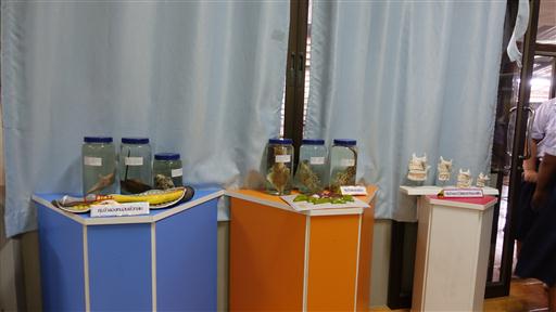 �ѹ�Է�� �.�.�. 62_������_0132