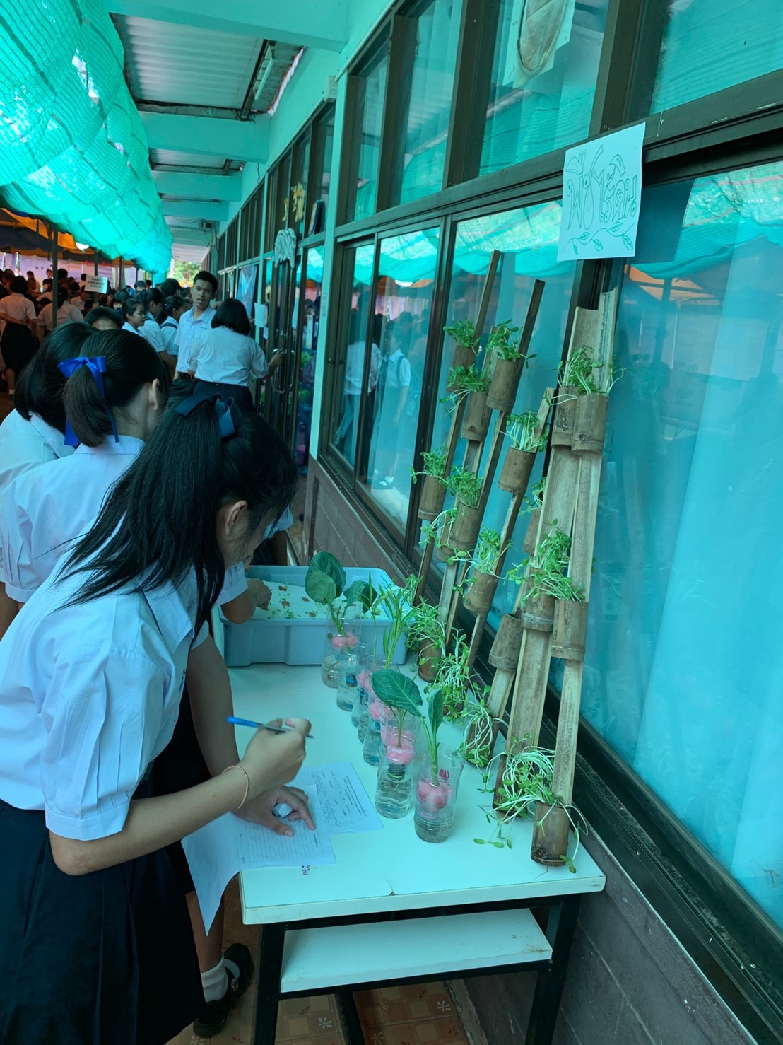 �ѹ�Է�� �.�.�. 62_������_0046