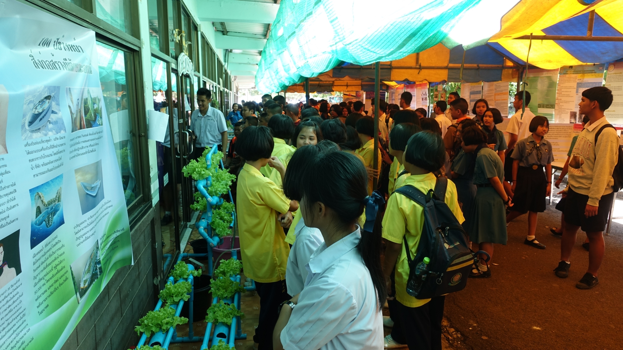 �ѹ�Է�� �.�.�. 62_������_0113