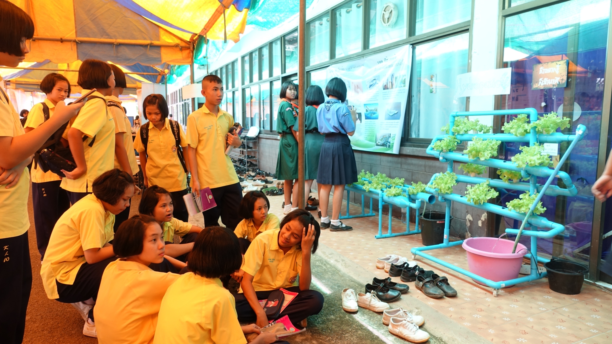 �ѹ�Է�� �.�.�. 62_������_0129