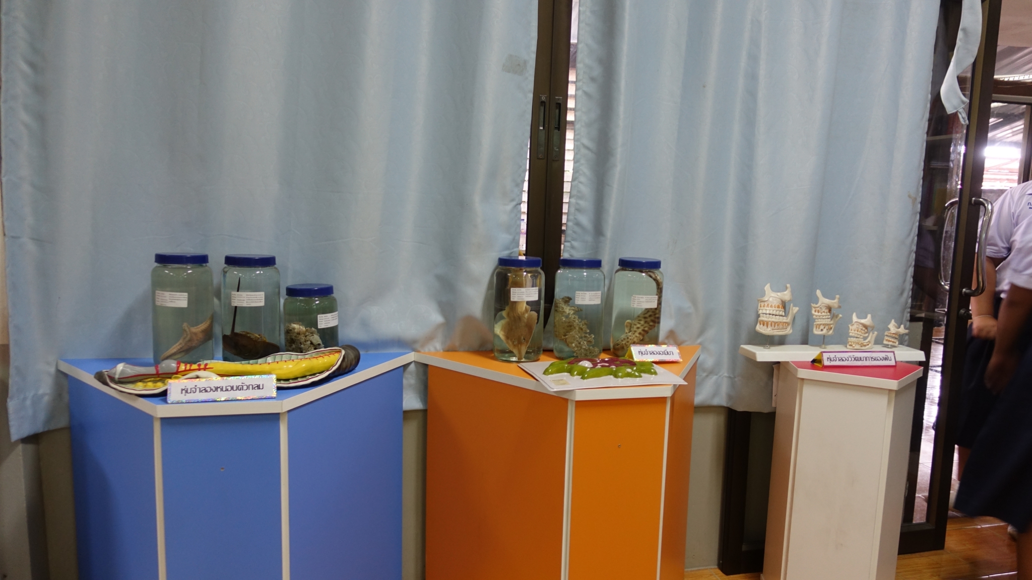 �ѹ�Է�� �.�.�. 62_������_0132