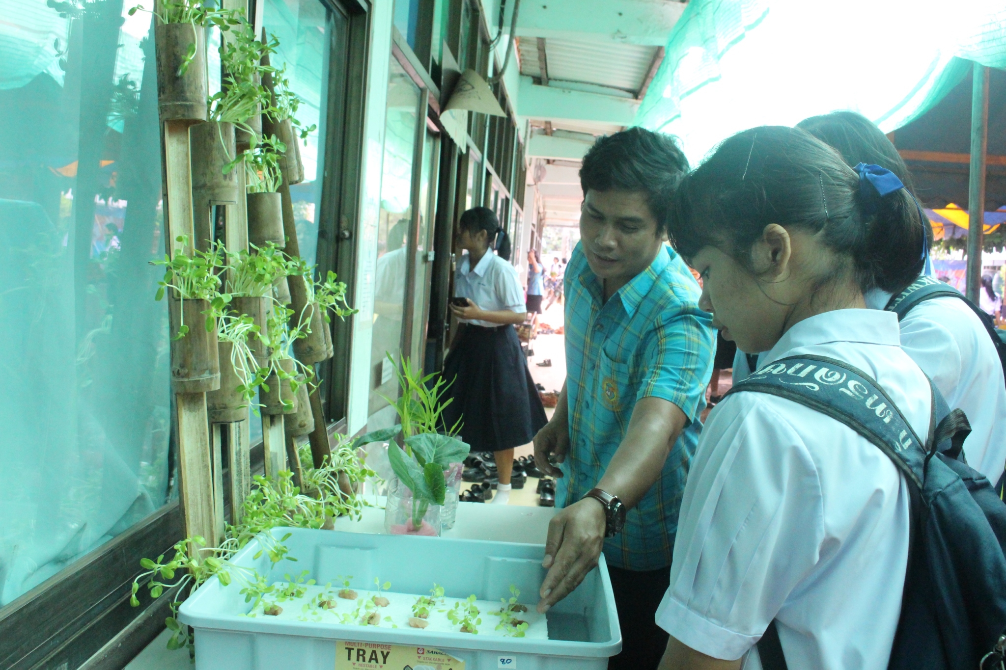 �ѹ�Է�� �.�.�. 62_������_0160