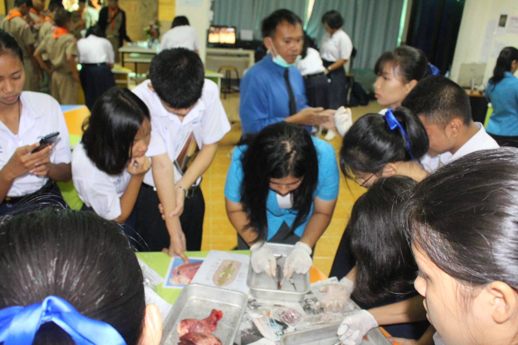 �ѹ�Է�� �.�.�. 62_������_0168